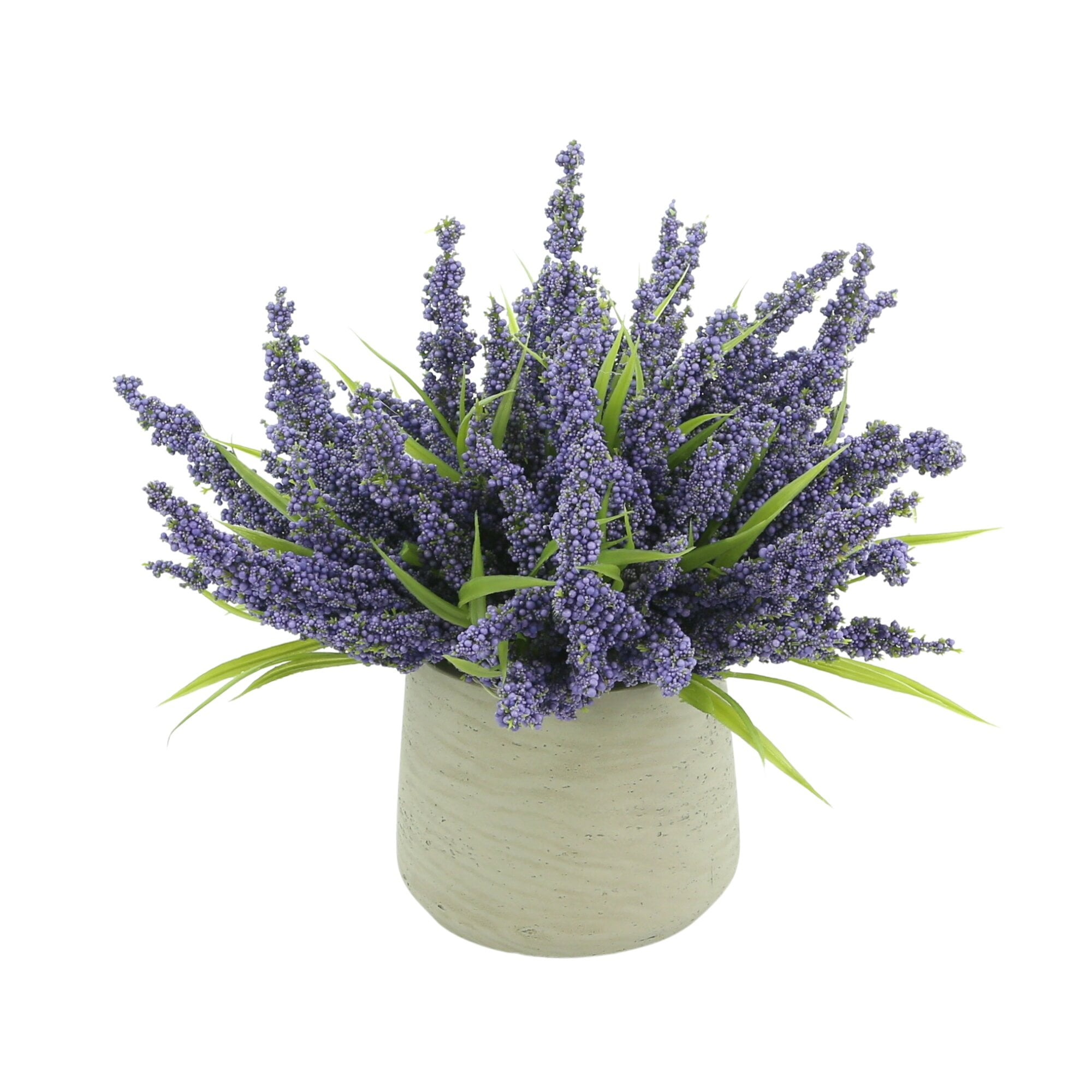 Lavender in Pot