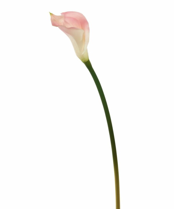 Artificial 26" Calla Lily Stem