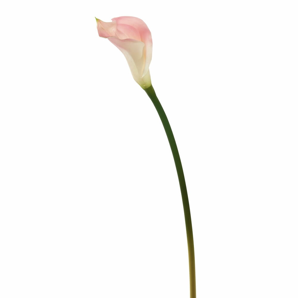 Artificial 26" Calla Lily Stem