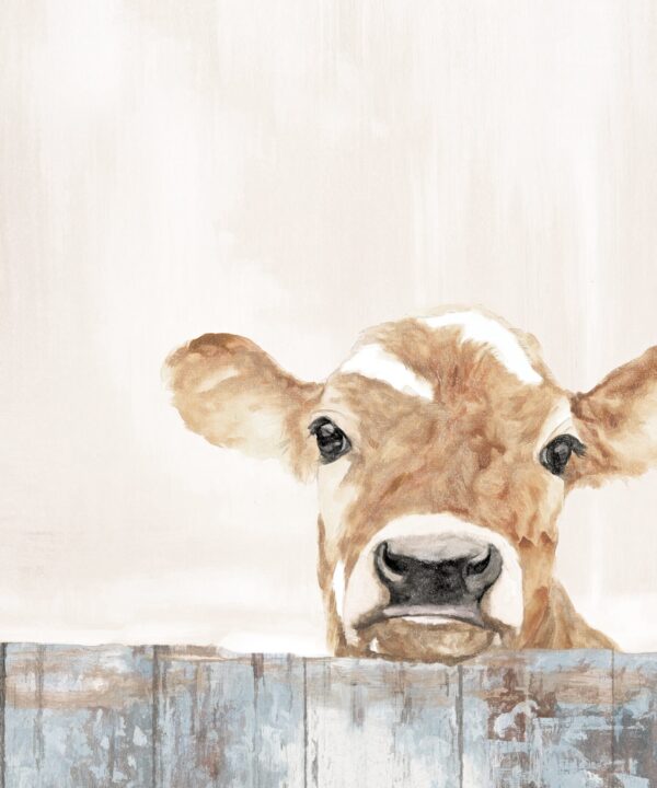 Calf On Abstract Fence - Wrapped Canvas Painting