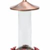 Hartranft Hummingbird Feeder