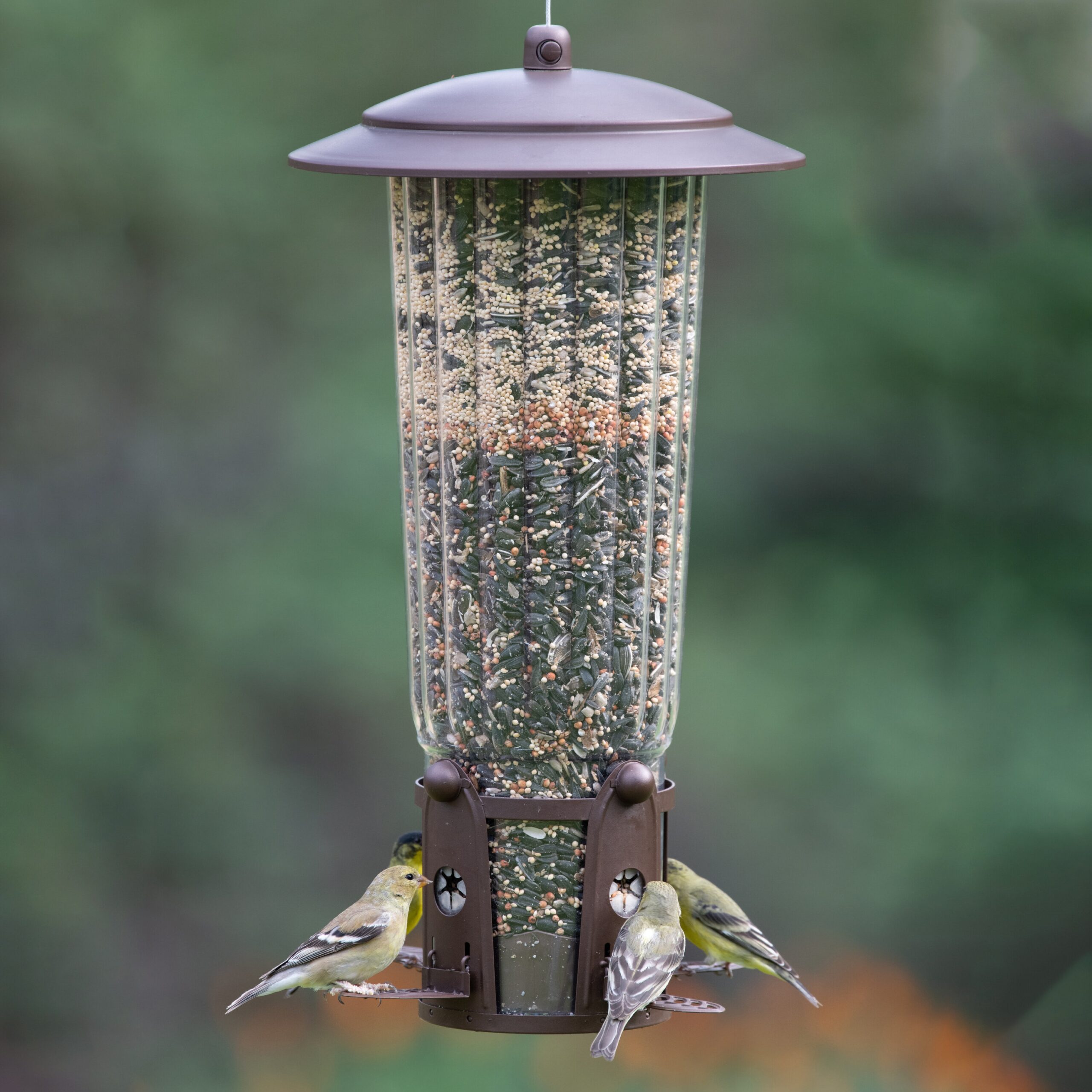 Lowesville Squirrel-Be-Gone Max Hopper Bird Feeder