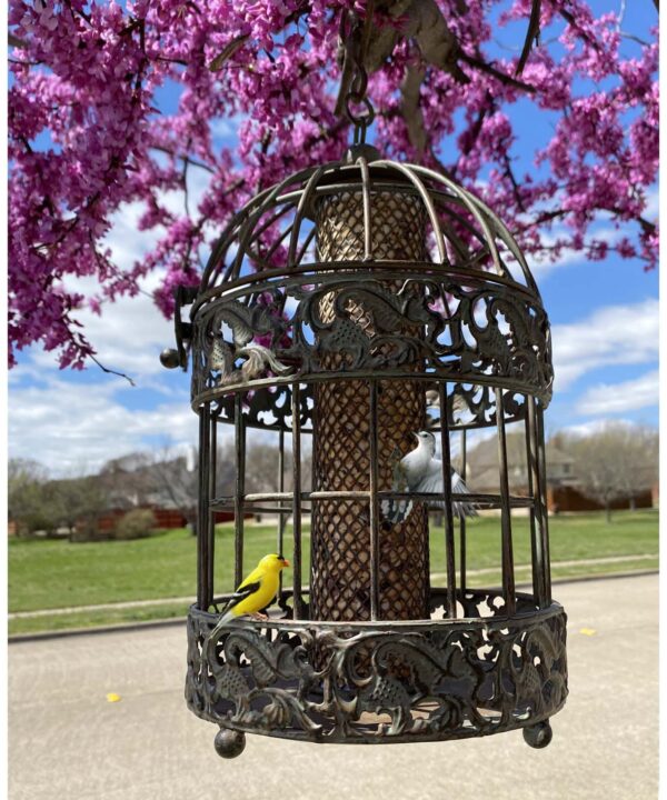 Hartzell Squirrel Proof Caged Hopper Bird Feeder