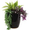 Captivating Vista Ceramic Indoor/Outdoor Planter - 14-Inch - Obsidian Captivating Vista Ceramic Indoor/Outdoor Planter - 14-Inch - Obsidian