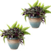 2 Purlieu Ceramic Indoor/Outdoor Planters - 12-Inch - Shoreline 2 Purlieu Ceramic Indoor/Outdoor Planters - 12-Inch - Shoreline