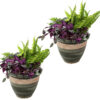 2 Purlieu Ceramic Indoor/Outdoor Planters - 12-Inch - Tempest 2 Purlieu Ceramic Indoor/Outdoor Planters - 12-Inch - Tempest