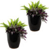 2 Captivating Vista Ceramic Indoor/Outdoor Planters - 11-Inch - Obsidian 2 Captivating Vista Ceramic Indoor/Outdoor Planters - 11-Inch - Obsidian