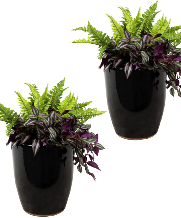 2 Captivating Vista Ceramic Indoor/Outdoor Planters - 11-Inch - Obsidian