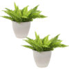 2 Ocean Villa Ceramic Indoor/Outdoor Planters - 11-Inch - Pearl