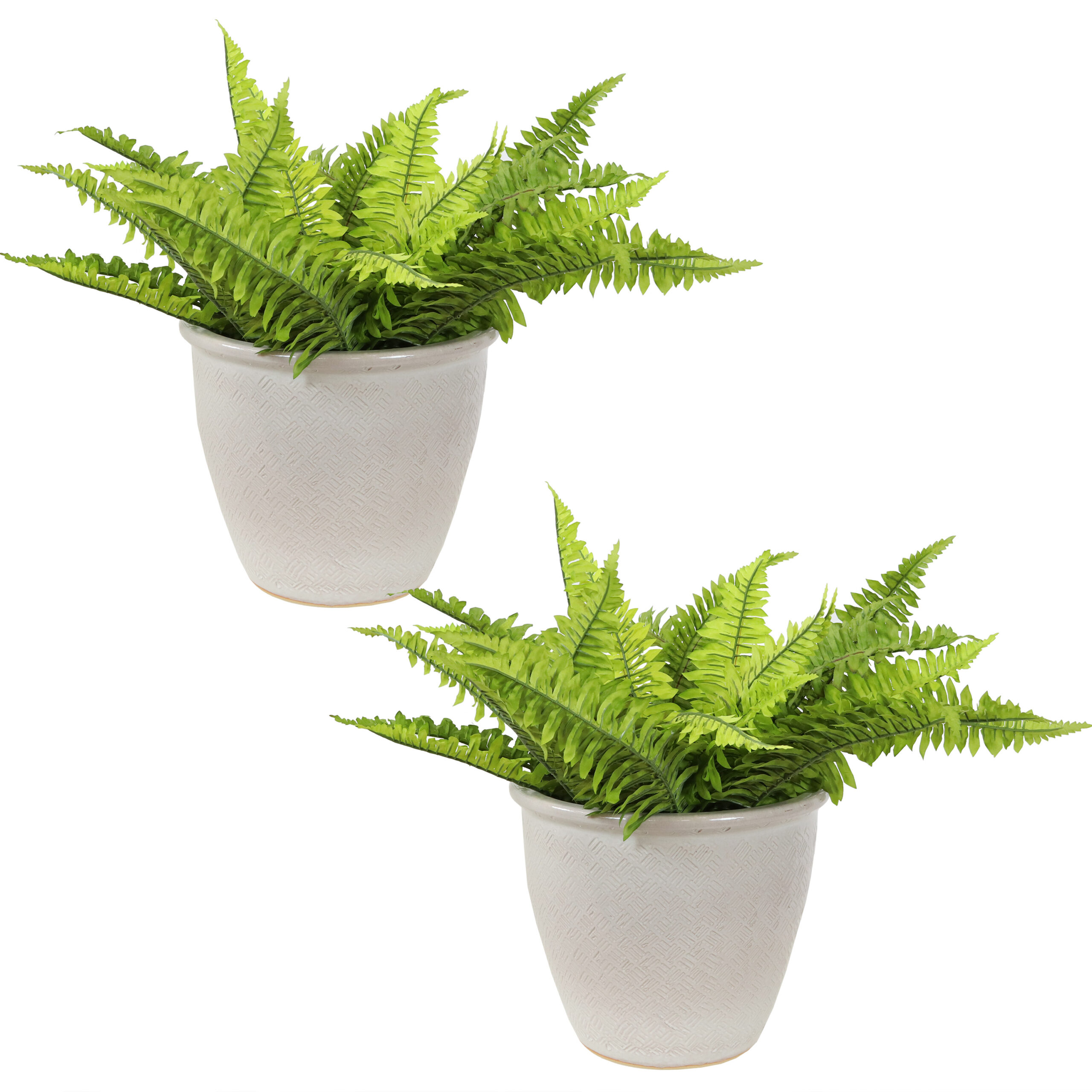 2 Ocean Villa Ceramic Indoor/Outdoor Planters - 11-Inch - Pearl