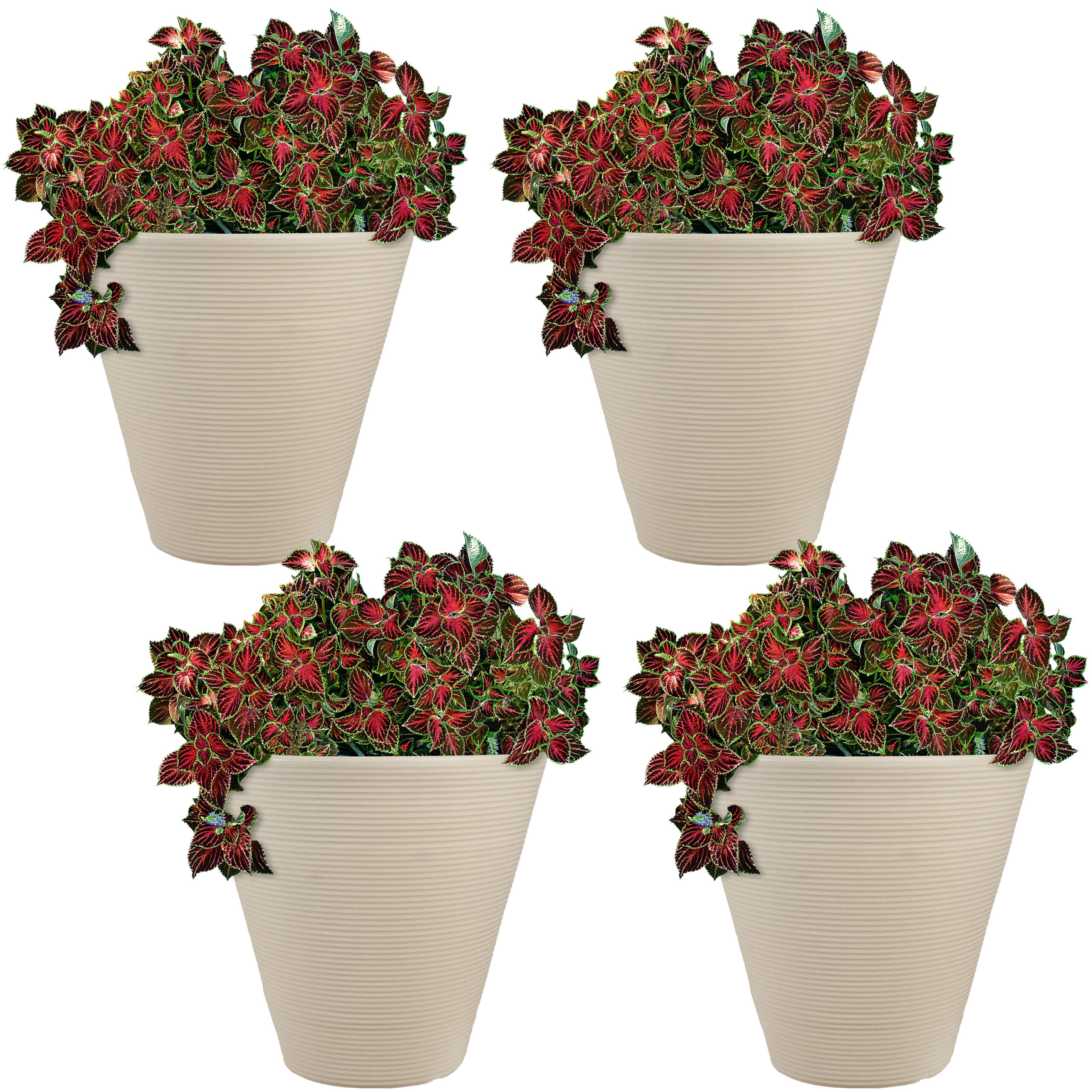 Sunnydaze Walter Outdoor Flower Pot Planter - Beige - 16-Inch - 4-Pack