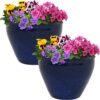 Sunnydaze Chalet Ceramic Indoor/Outdoor Planter - Imperial Blue - 9-Inch - Set of 2