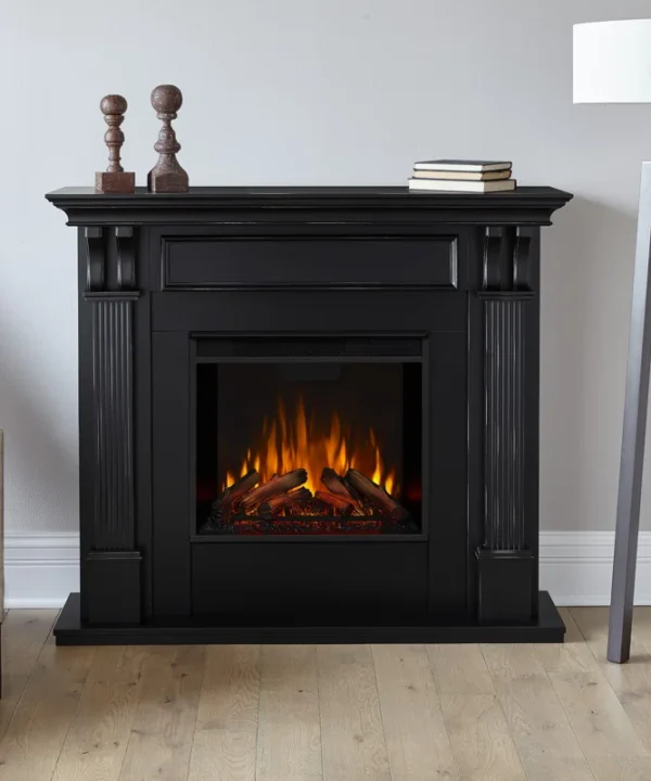 Ashley 48" Electric Fireplace by Real Flame