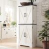 72" Tall Kitchen Pantry, Farmhouse Storage Cabinet with Barn Doors