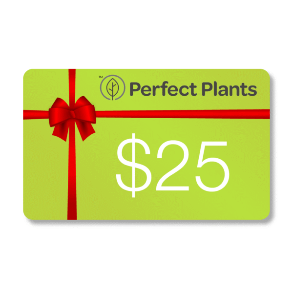 Digital Gift Card