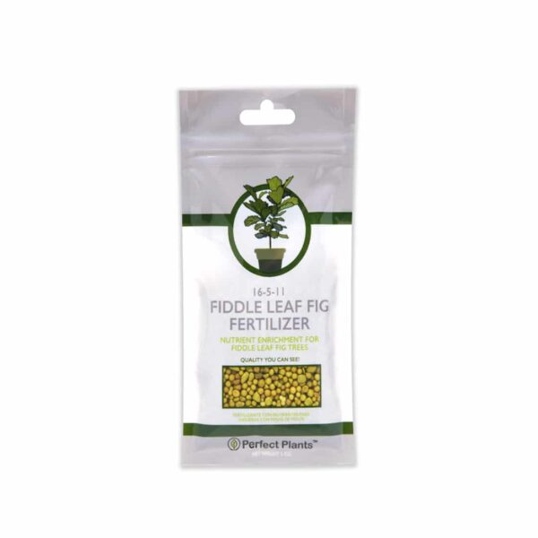 Fiddle Leaf Fig Fertilizer