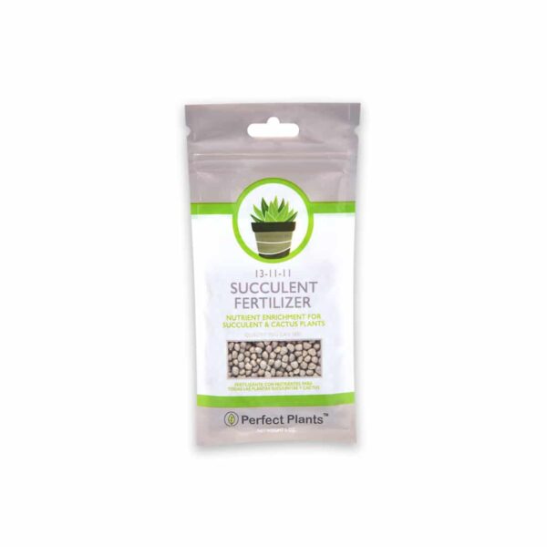 Succulent Fertilizer for Cactus and Succulent Plants