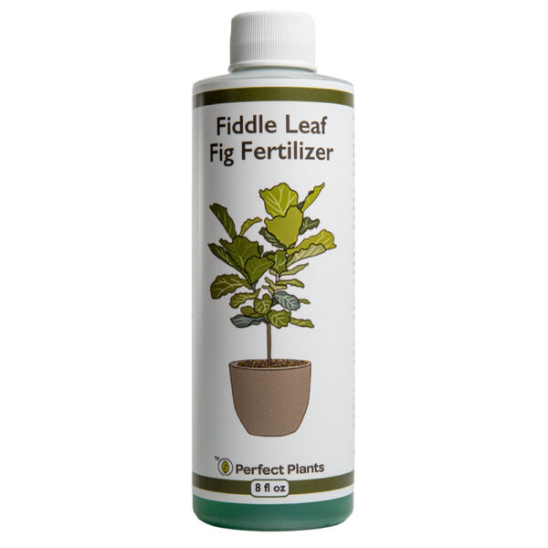 Liquid Fiddle Leaf Fig Fertilizer