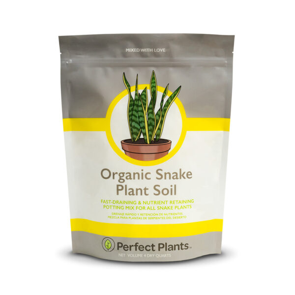 Snake Plant Soil Mix
